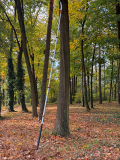 Teleskopsäge Astschere 1,86-5,50 m