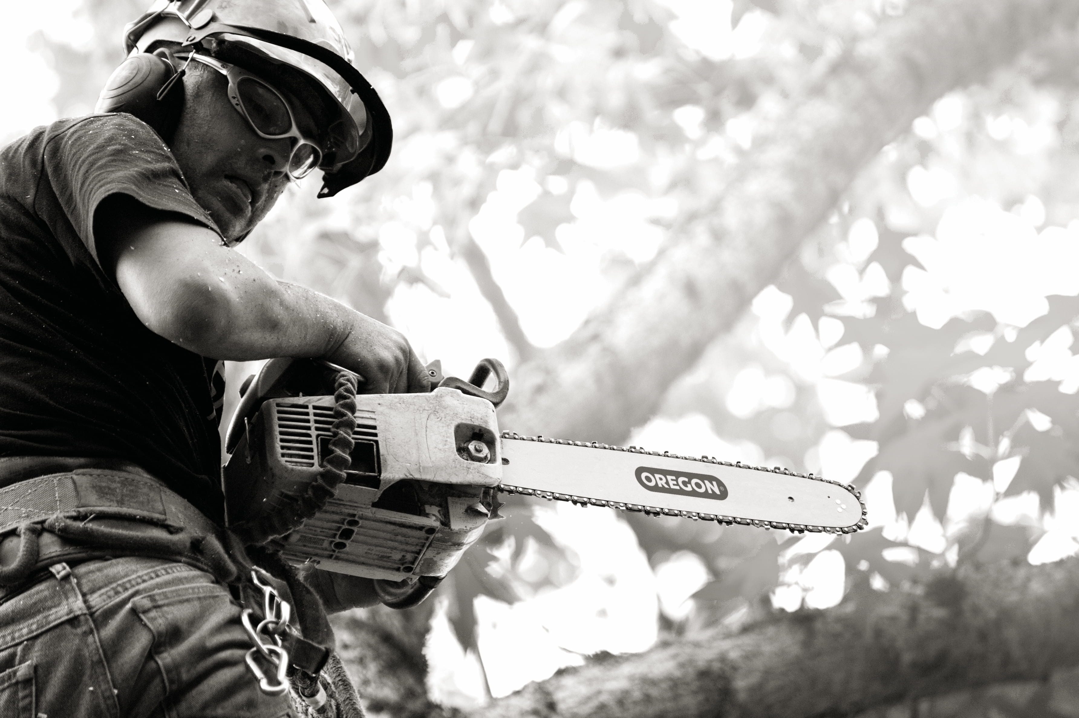 Motorsäge im Einsatz